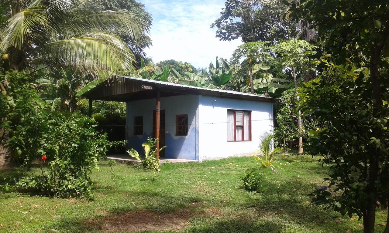 Rosa'S Lake Cabins Mérida Buitenkant foto